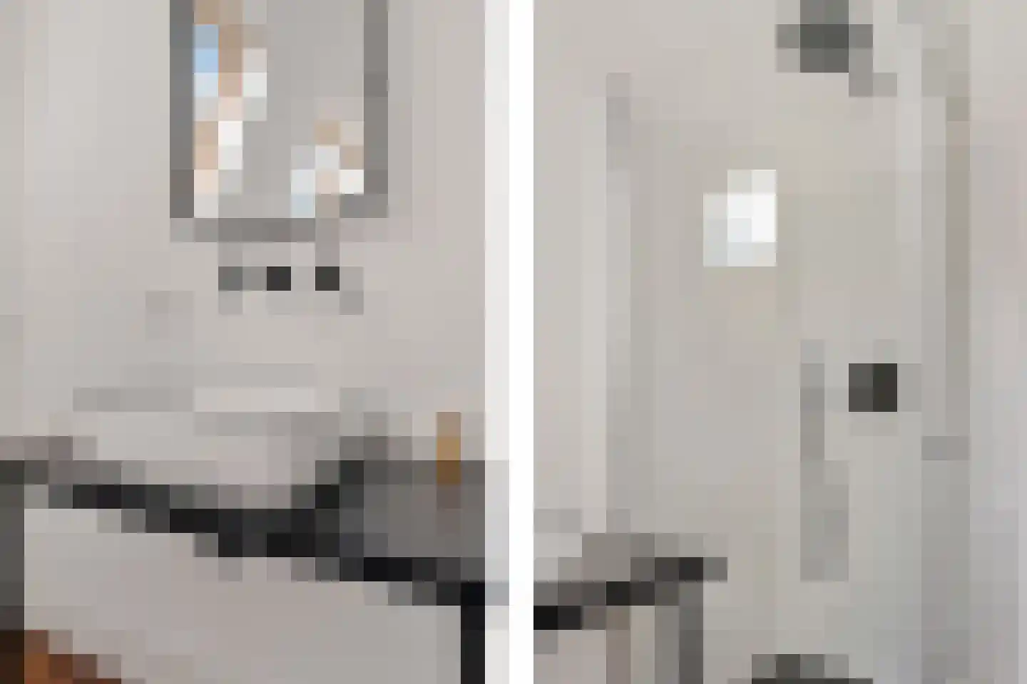 Tolhuislaan 255 Rotterdam thumbnail 57