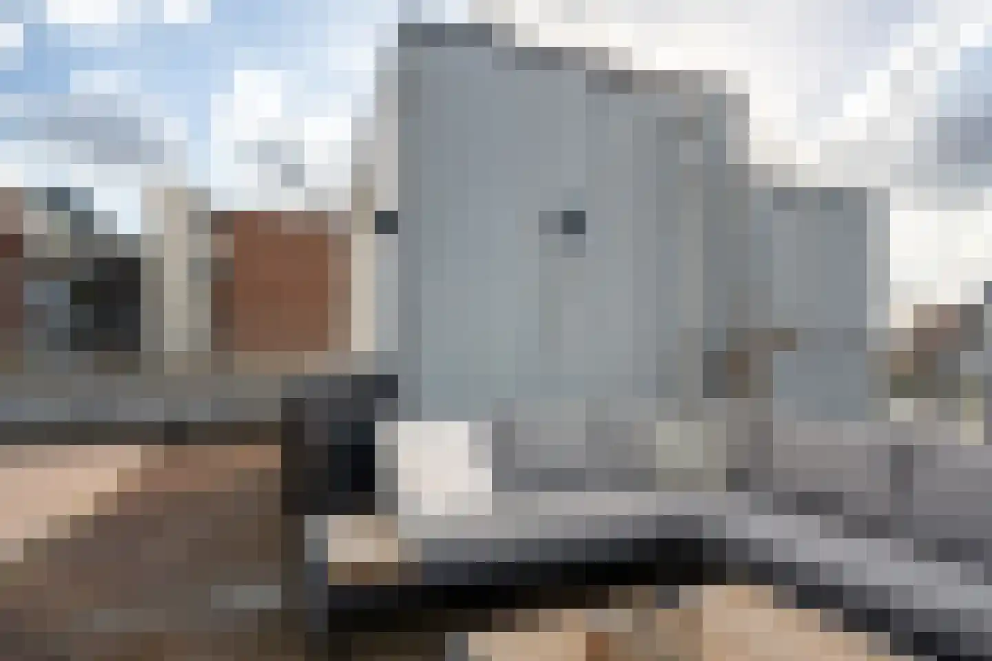 Tolhuislaan 255 Rotterdam thumbnail 61