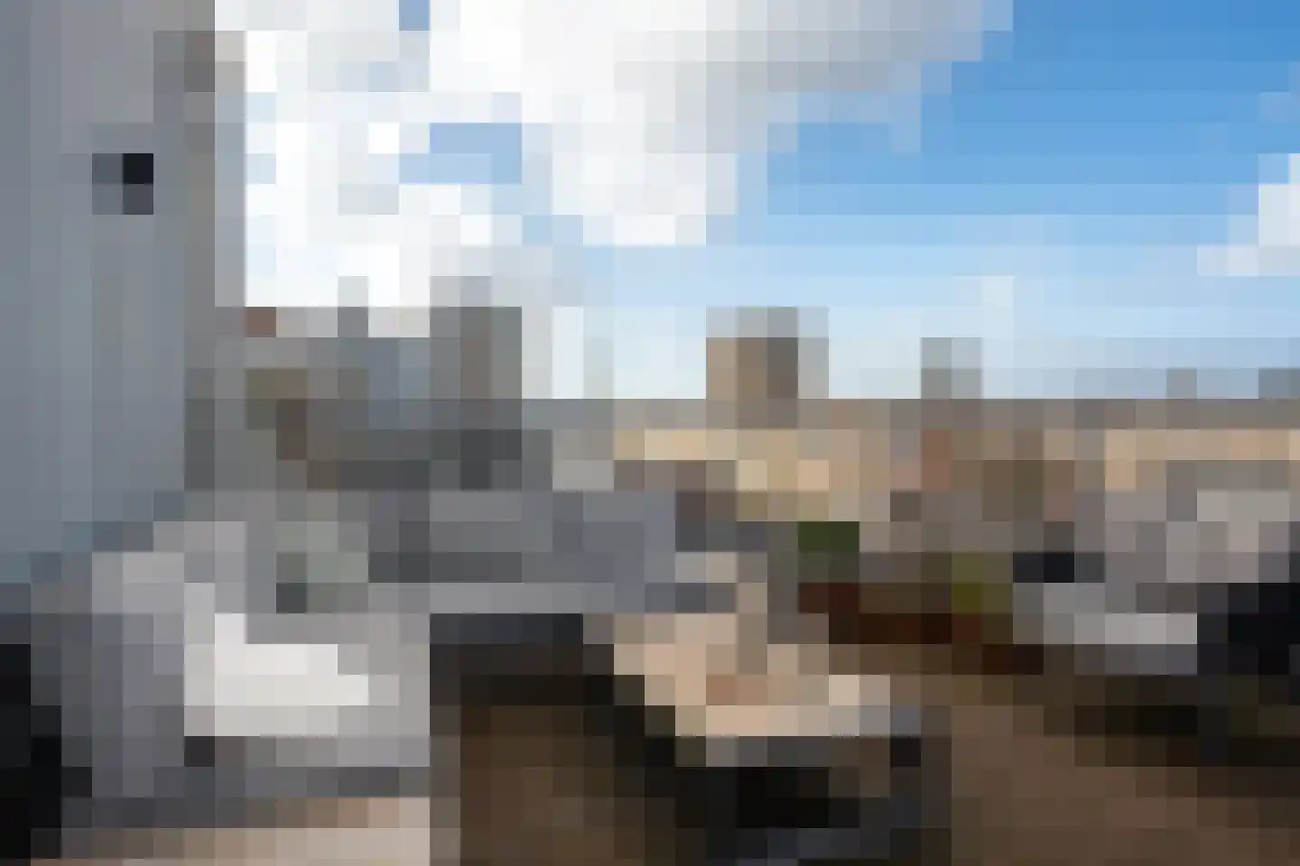 Tolhuislaan 255 Rotterdam thumbnail 64