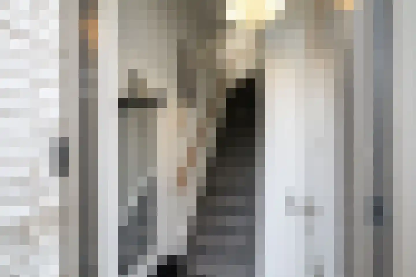 Tolhuislaan 255 Rotterdam thumbnail 7
