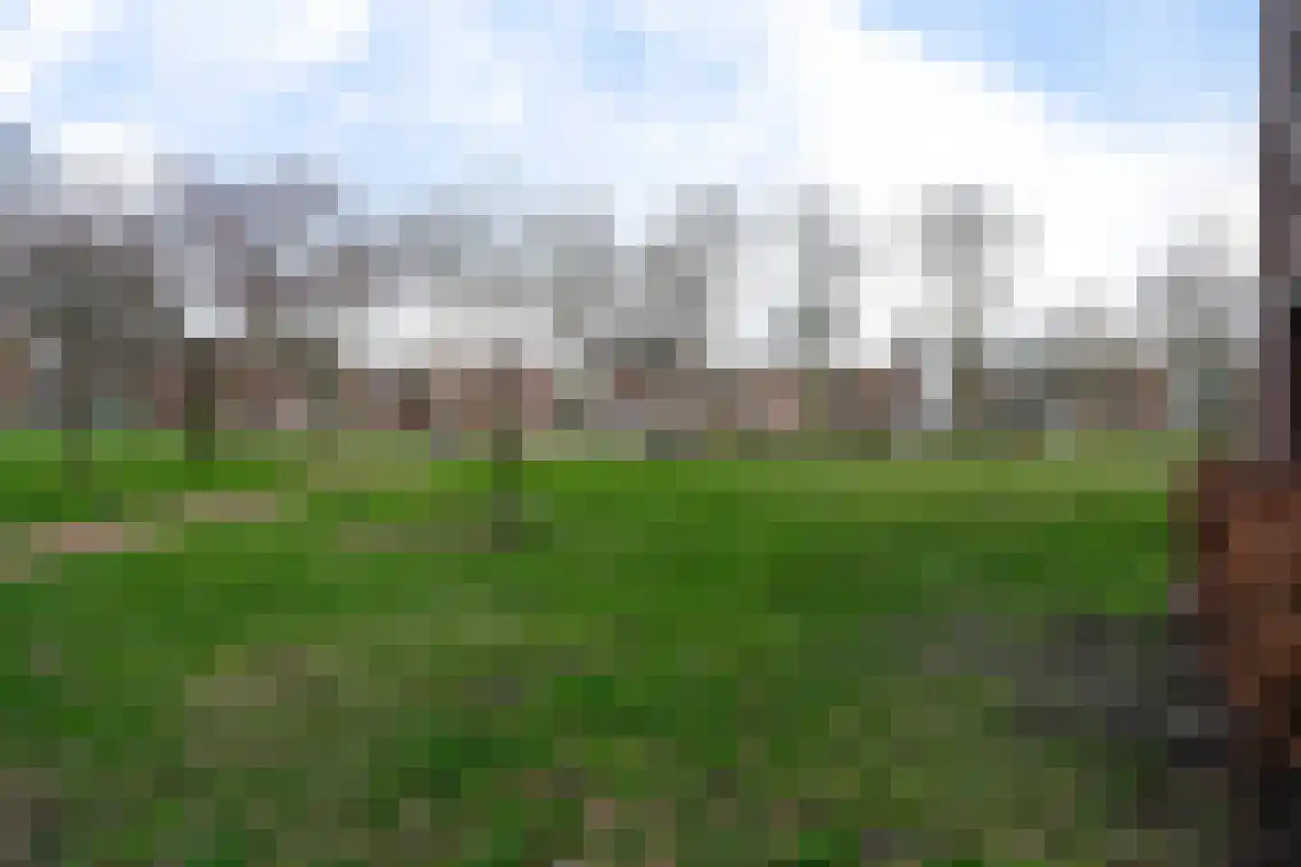 Tolhuislaan 255 Rotterdam thumbnail 71