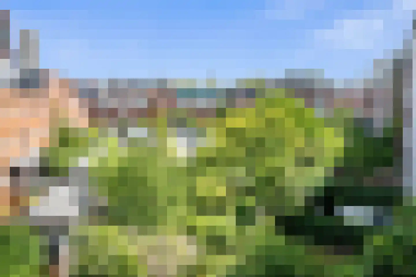Tolhuislaan 255 Rotterdam thumbnail 75