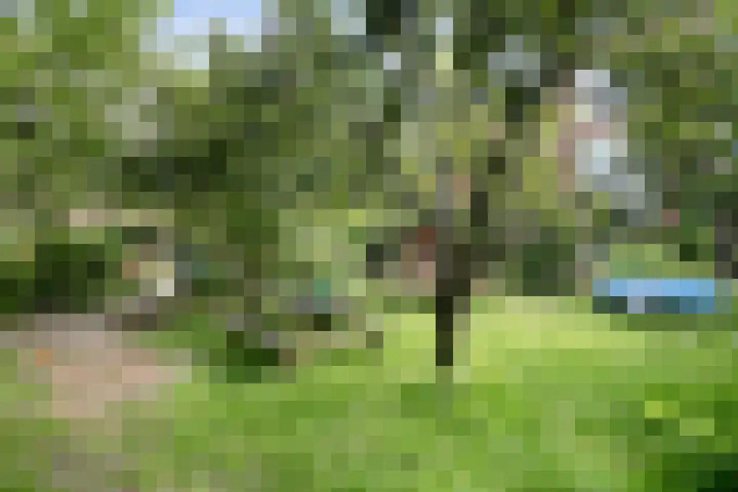 Tolhuislaan 255 Rotterdam thumbnail 80