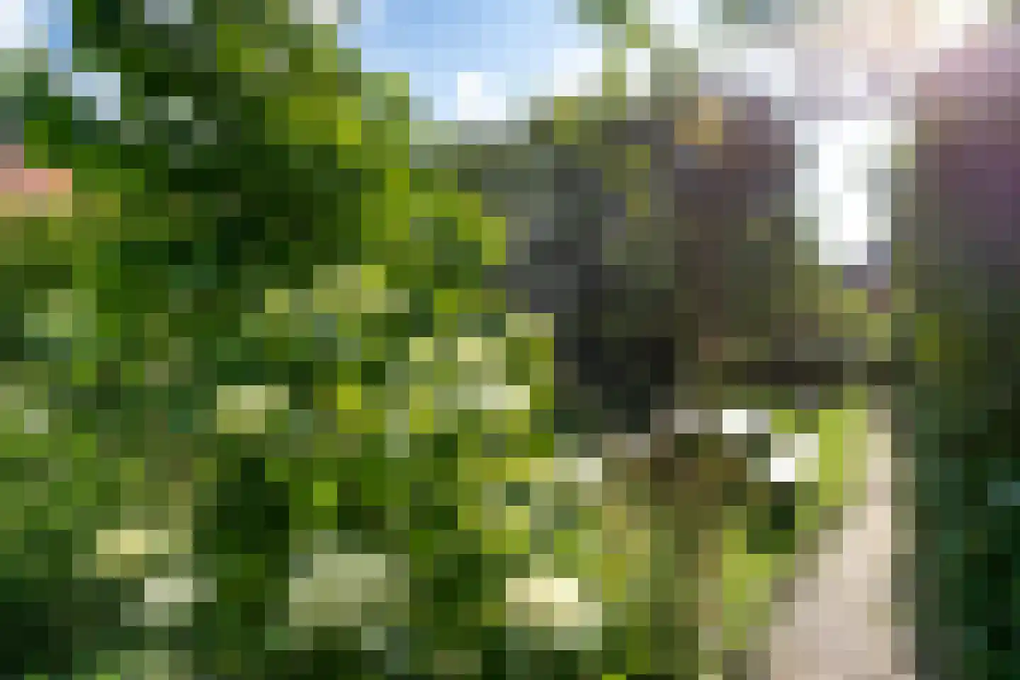 Tolhuislaan 255 Rotterdam thumbnail 81