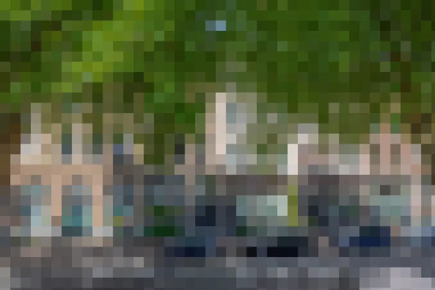 Tolhuislaan 261 Rotterdam thumbnail 26
