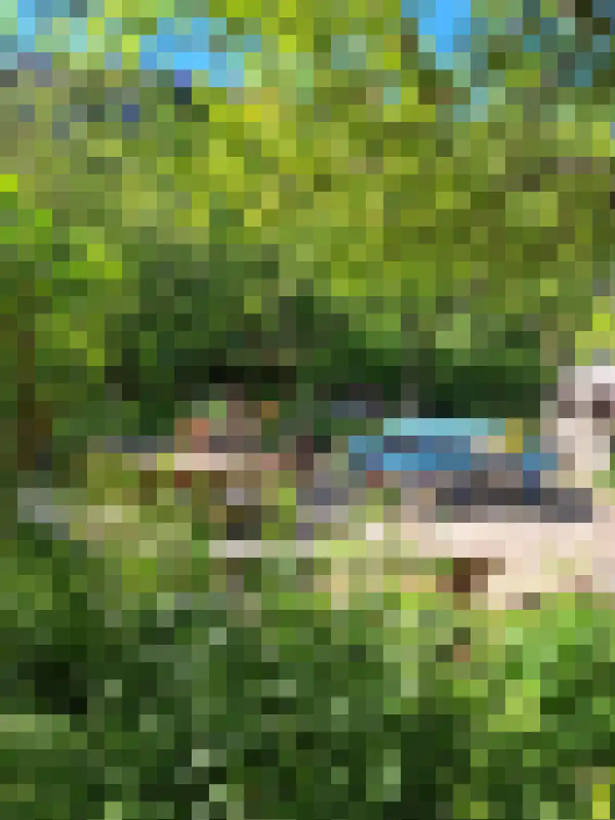 Tolhuislaan 261 Rotterdam thumbnail 29