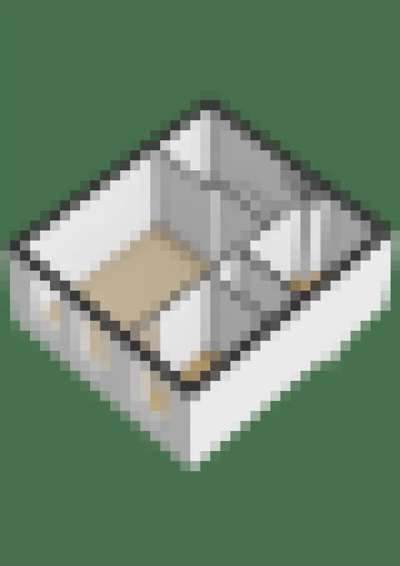 Tolhuislaan 261 Rotterdam thumbnail 33