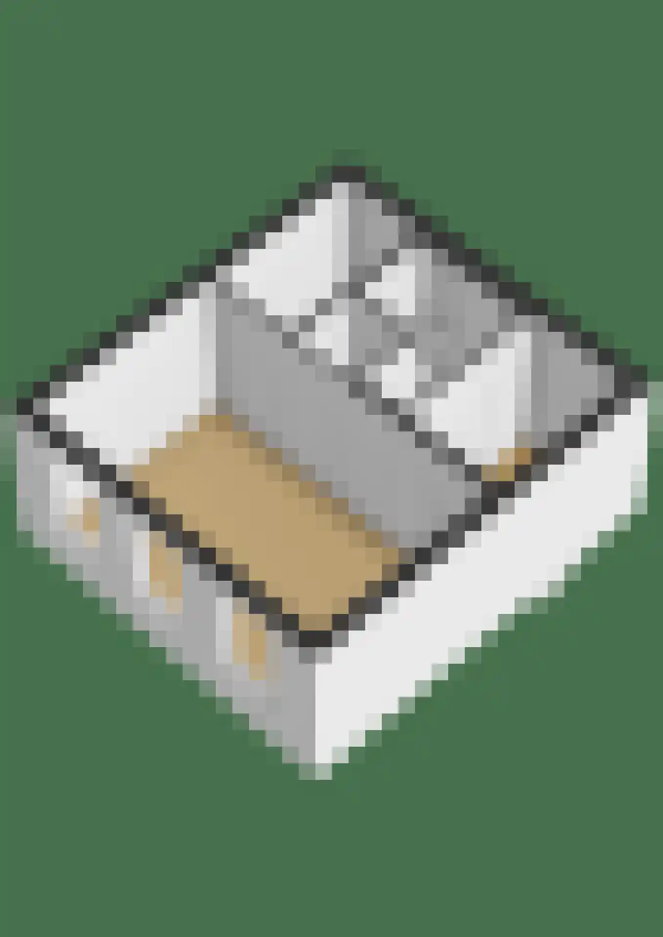Tolhuislaan 261 Rotterdam thumbnail 35