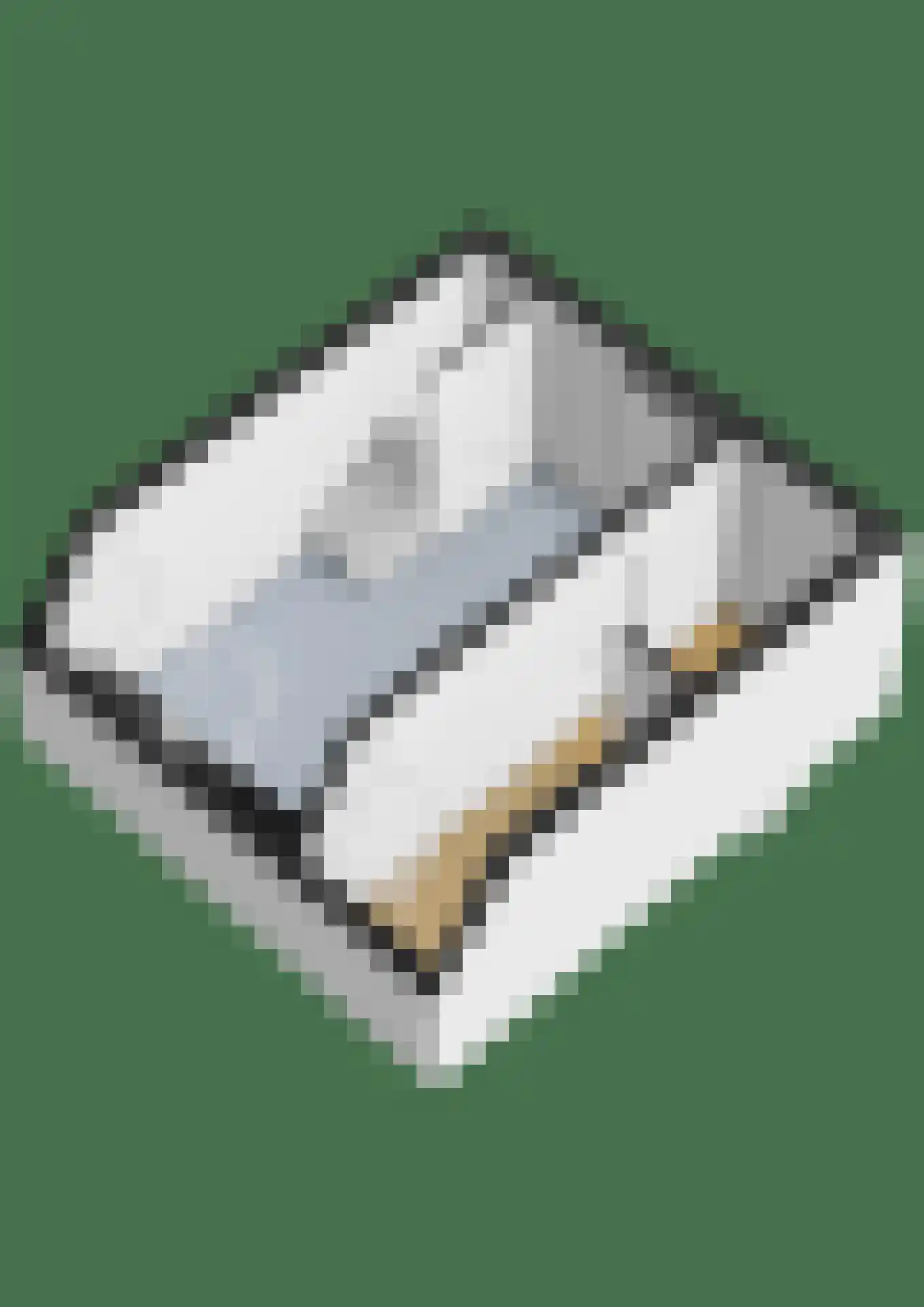 Tolhuislaan 261 Rotterdam thumbnail 37