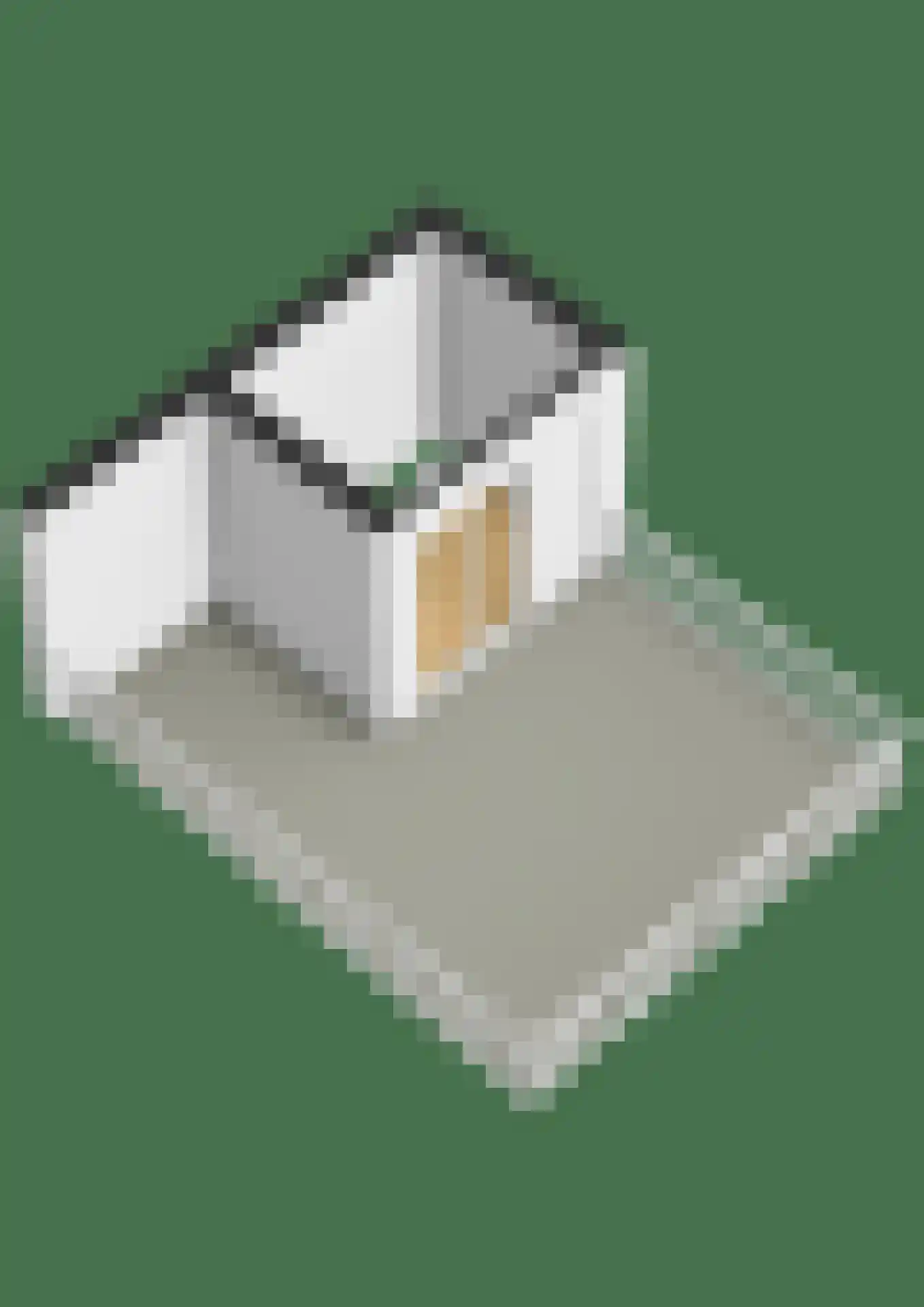 Tolhuislaan 261 Rotterdam thumbnail 39