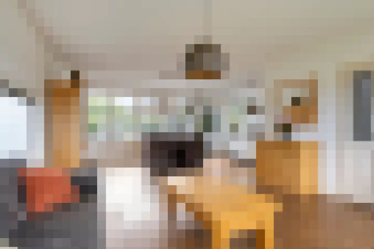 Tolhuislaan 35 Etten-Leur thumbnail 15
