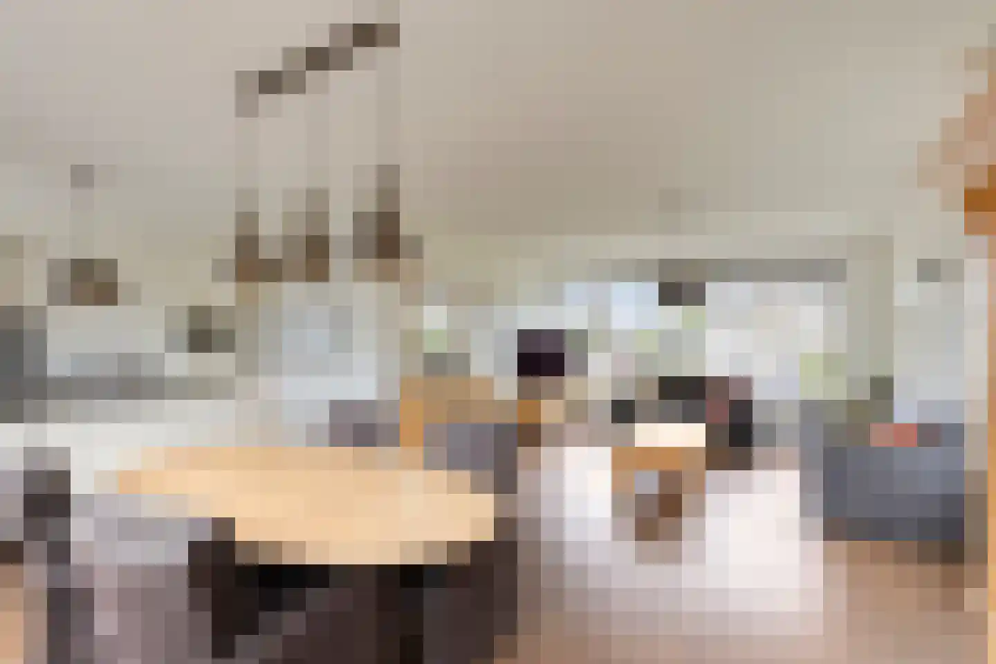 Tolhuislaan 35 Etten-Leur thumbnail 17