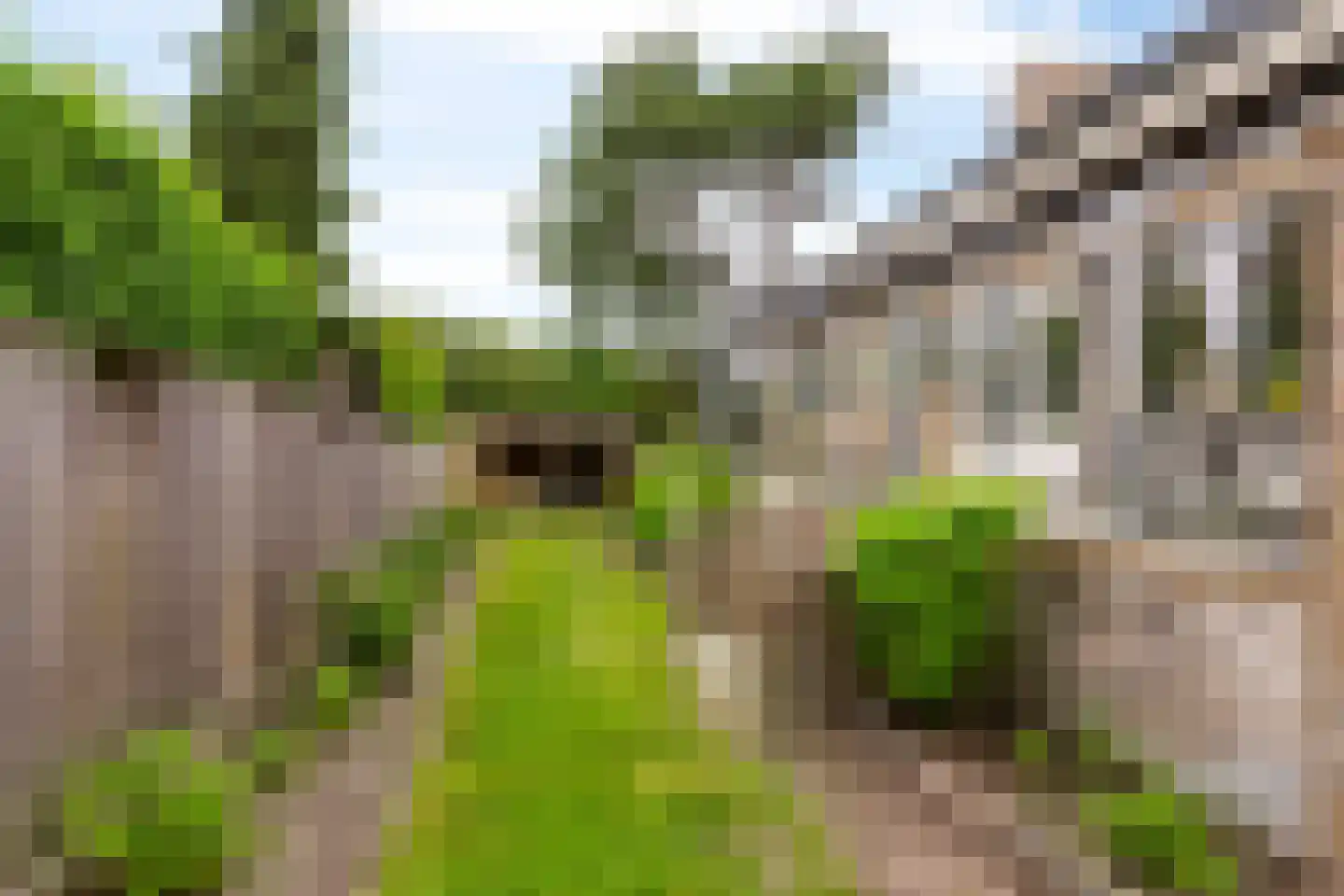 Tolhuislaan 35 Etten-Leur thumbnail 40