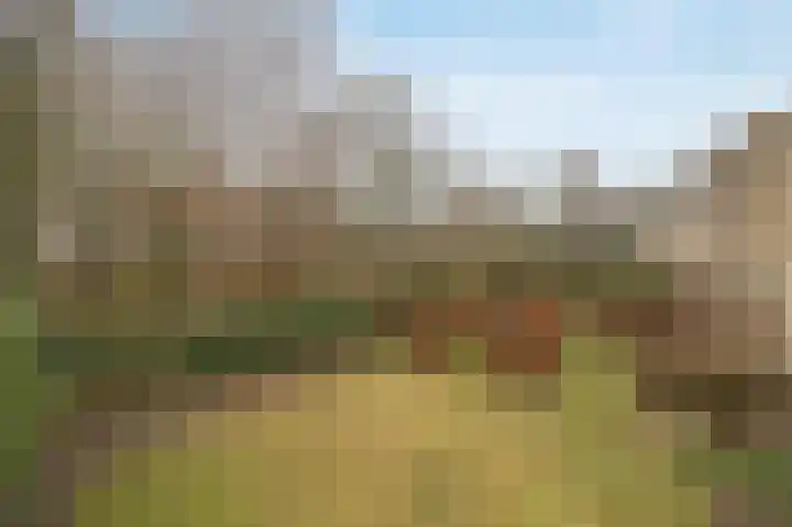 Tolhuislaan 49 Etten-Leur thumbnail 43