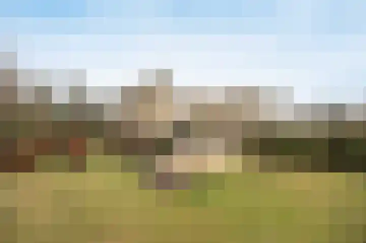 Tolhuislaan 49 Etten-Leur thumbnail 45