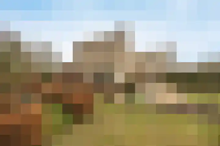 Tolhuislaan 49 Etten-Leur thumbnail 46