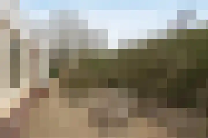 Tolhuislaan 49 Etten-Leur thumbnail 49
