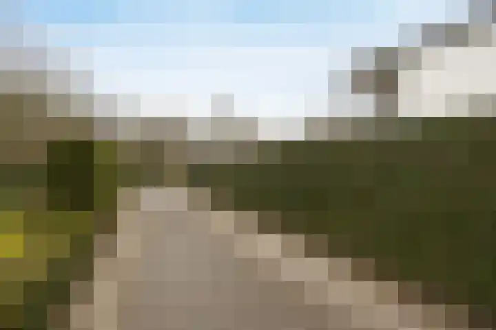 Tolhuislaan 49 Etten-Leur thumbnail 5