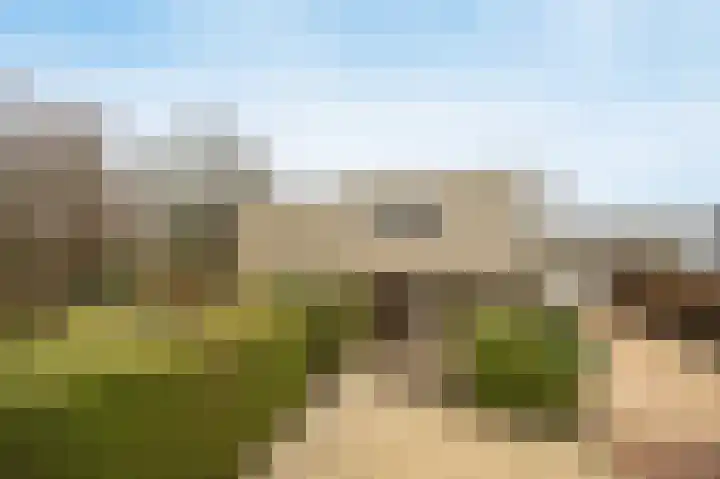 Tolhuislaan 49 Etten-Leur thumbnail 6