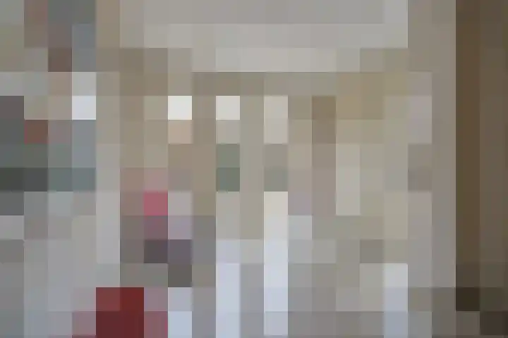Tolhuislaan 49 Etten-Leur thumbnail 7
