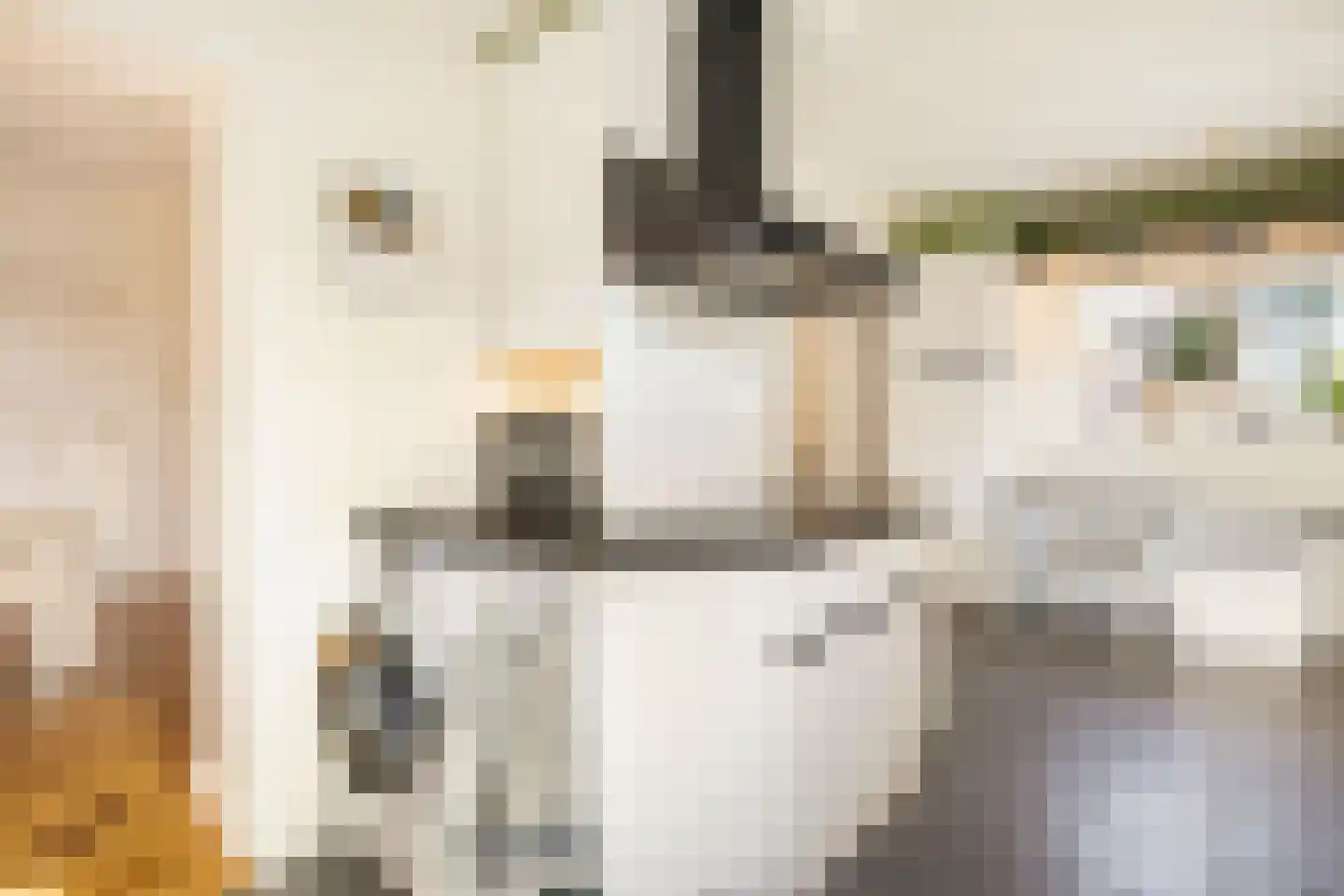 Tolhuislaan 5 Ede thumbnail 14