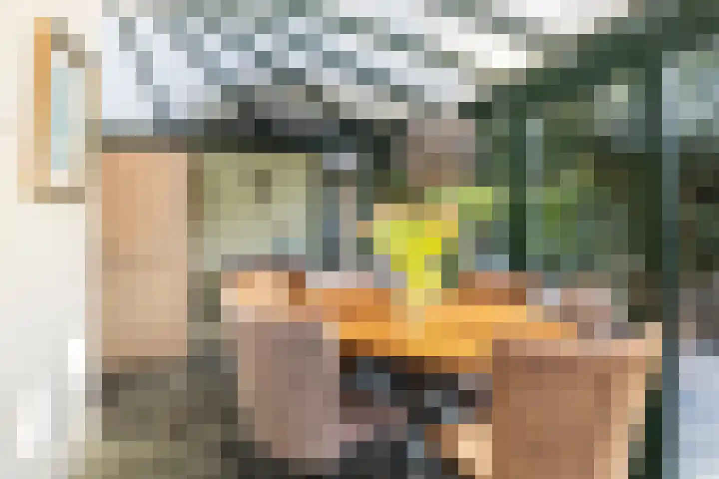 Tolhuislaan 5 Ede thumbnail 18