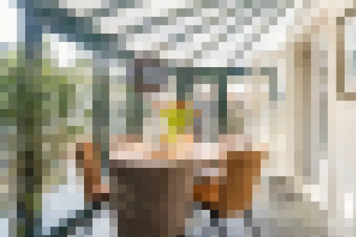 Tolhuislaan 5 Ede thumbnail 19