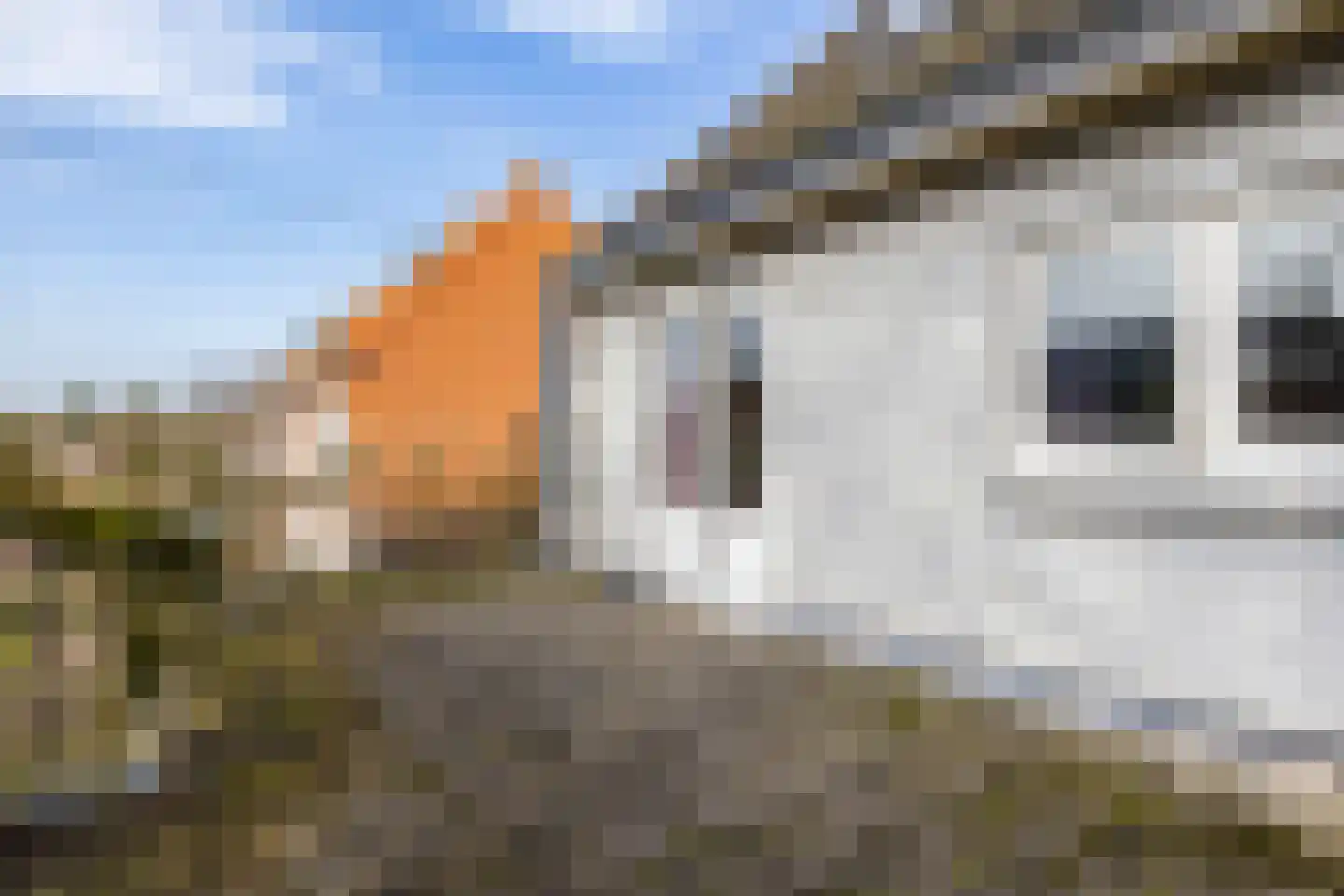 Tolhuislaan 5 Ede thumbnail 25