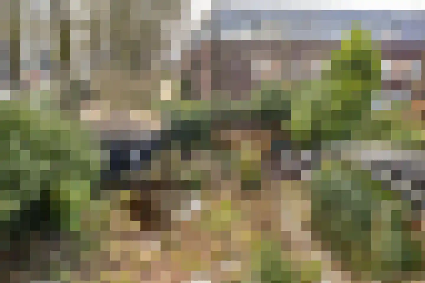 Tolhuislaan 5 Ede thumbnail 26