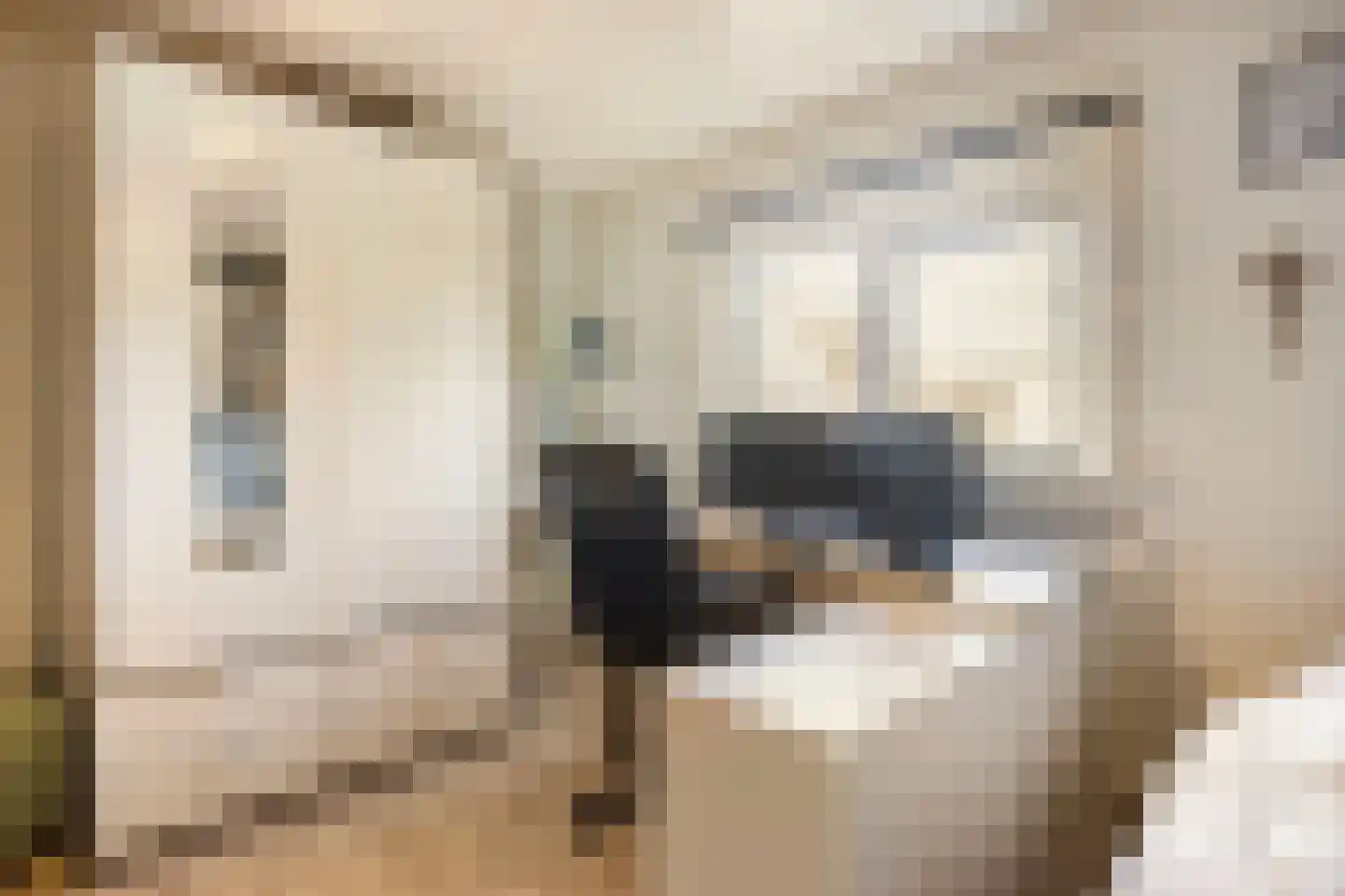Tolhuislaan 5 Ede thumbnail 28