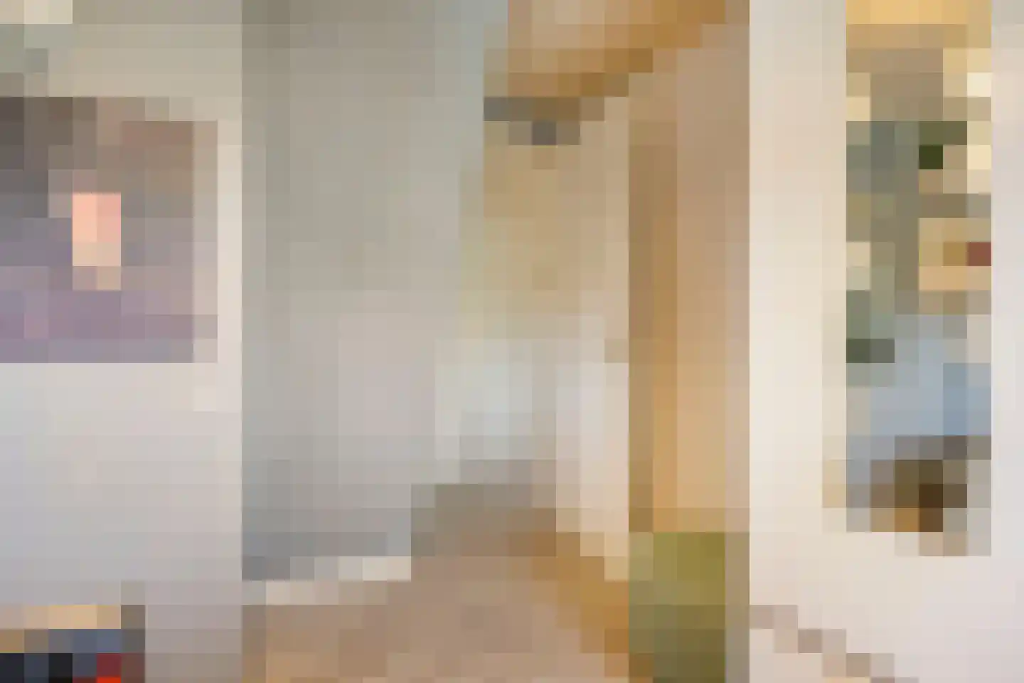 Tolhuislaan 5 Ede thumbnail 29
