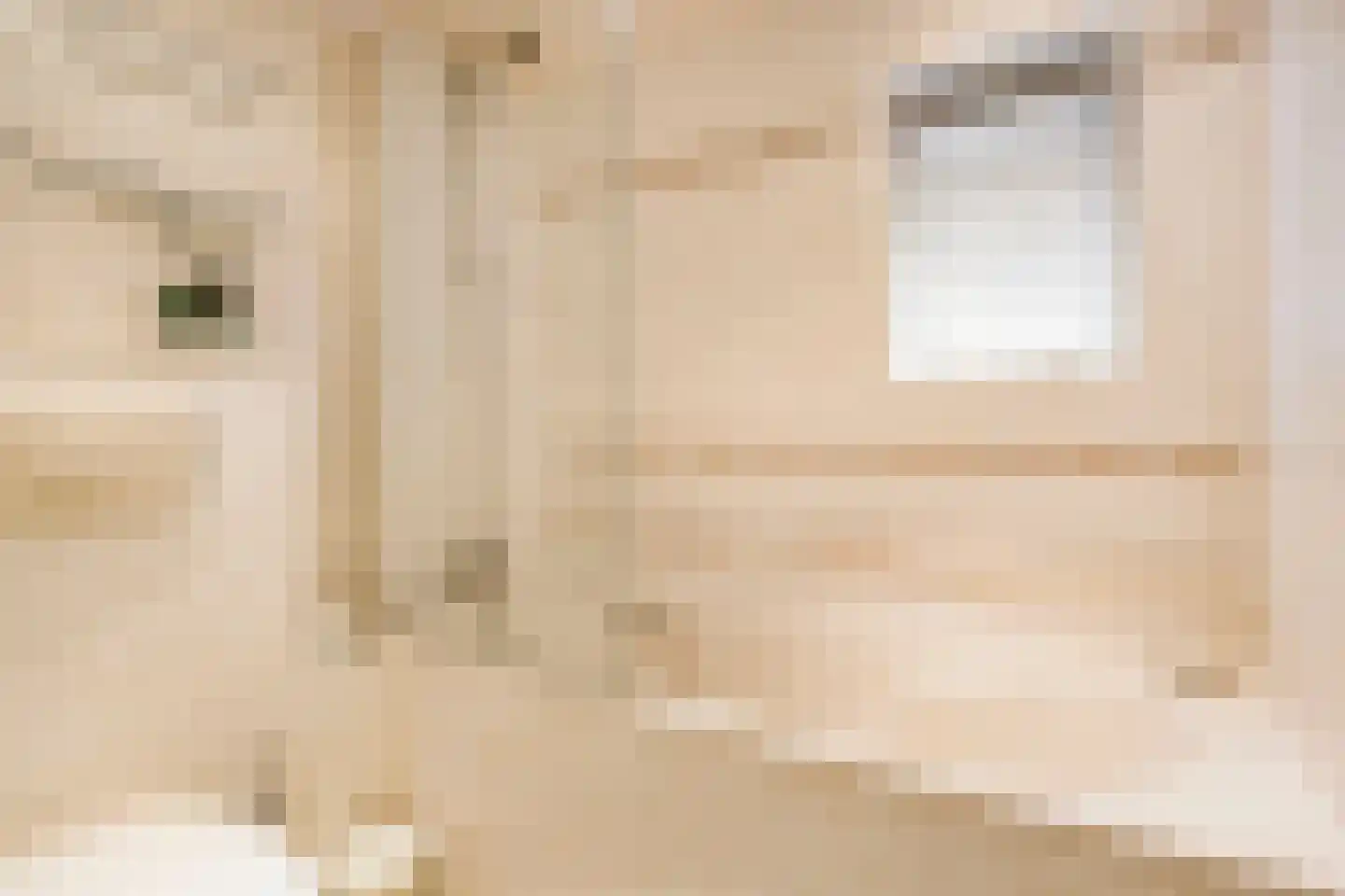 Tolhuislaan 5 Ede thumbnail 30