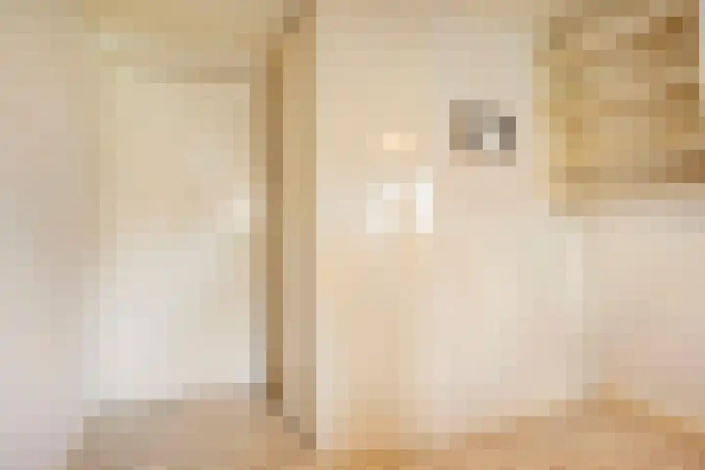 Tolhuislaan 5 Ede thumbnail 34