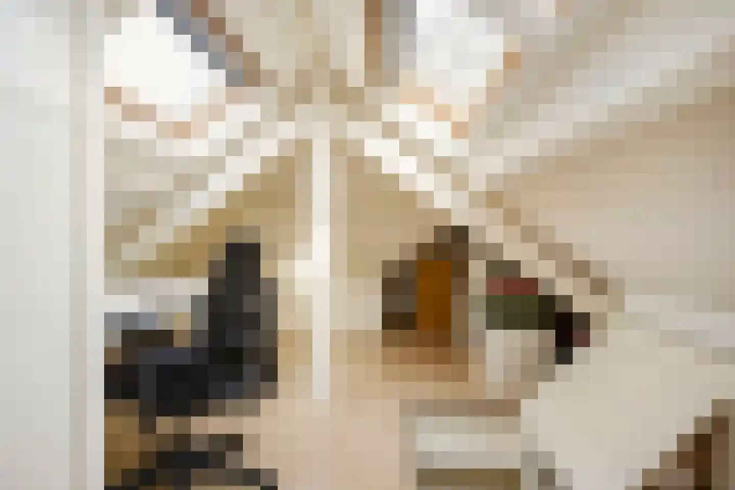 Tolhuislaan 5 Ede thumbnail 36