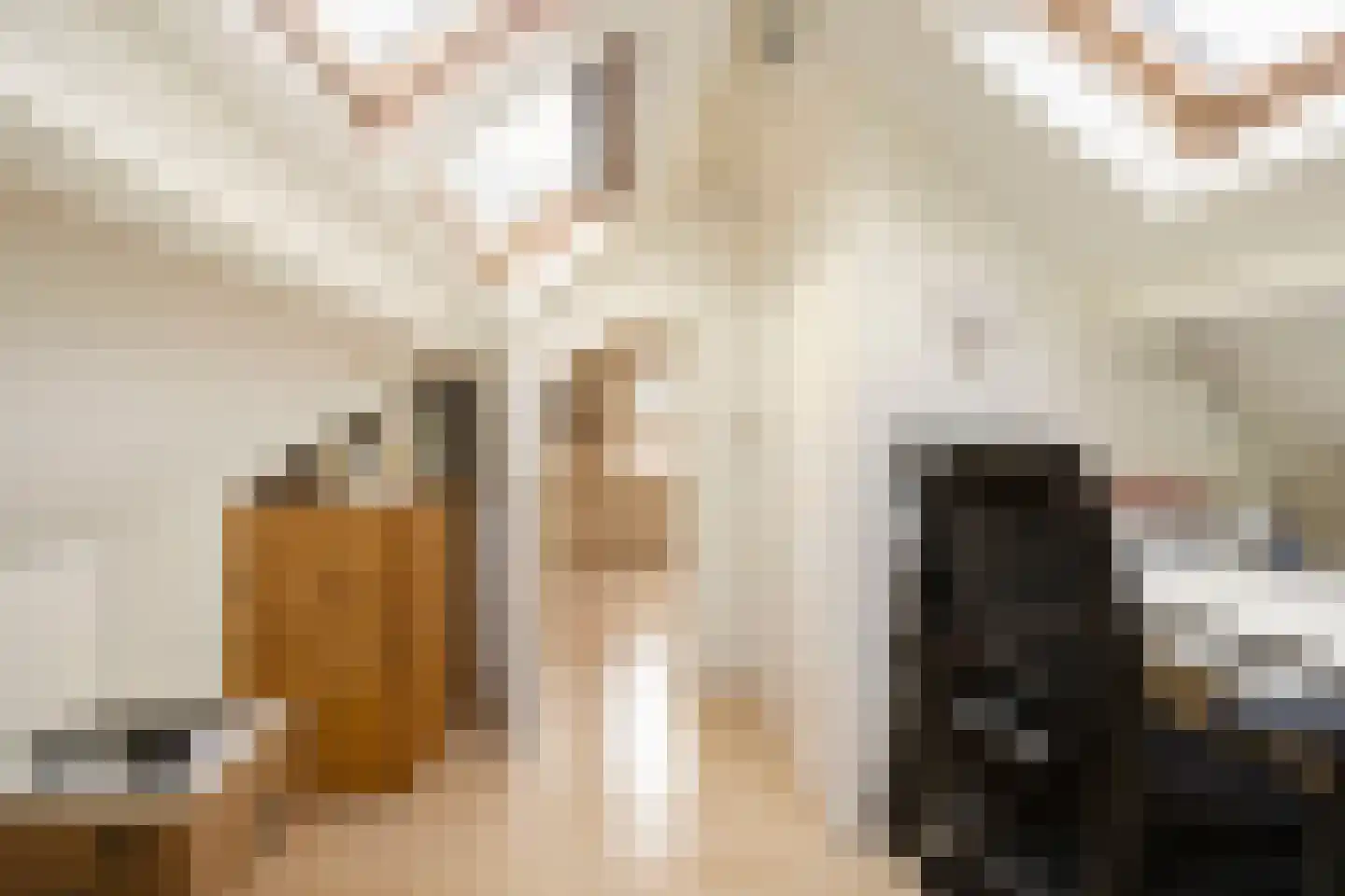 Tolhuislaan 5 Ede thumbnail 37