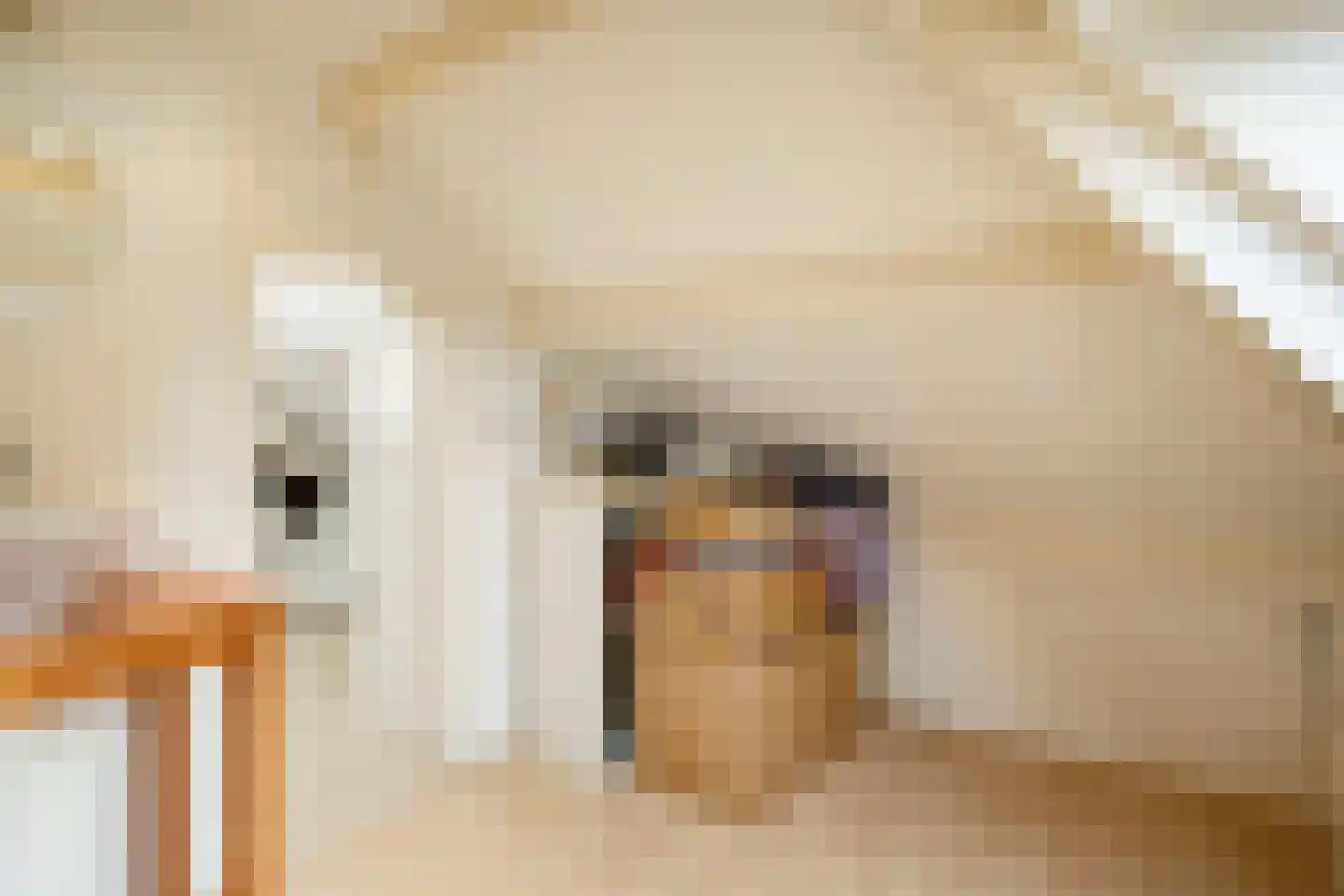 Tolhuislaan 5 Ede thumbnail 39