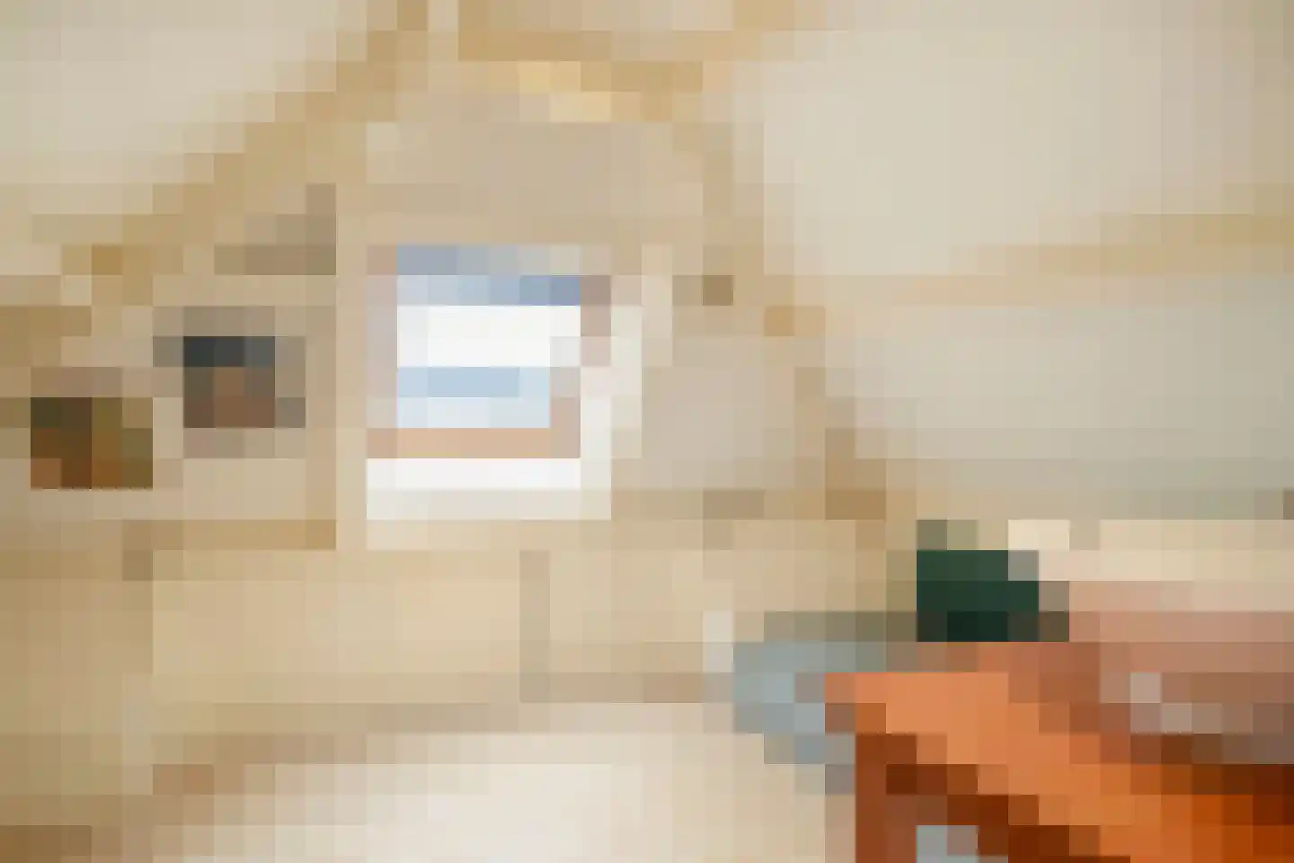 Tolhuislaan 5 Ede thumbnail 40