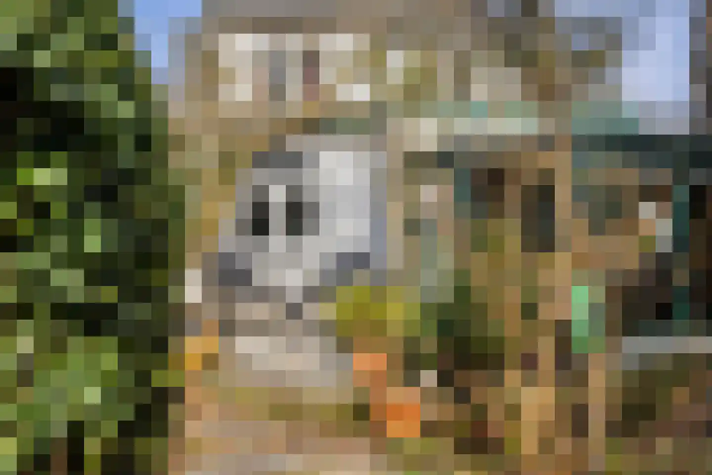 Tolhuislaan 5 Ede thumbnail 46