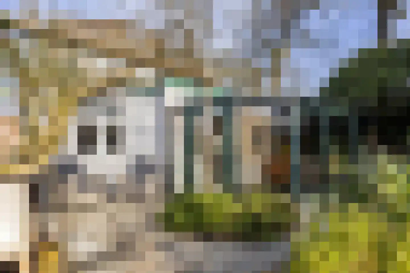 Tolhuislaan 5 Ede thumbnail 47