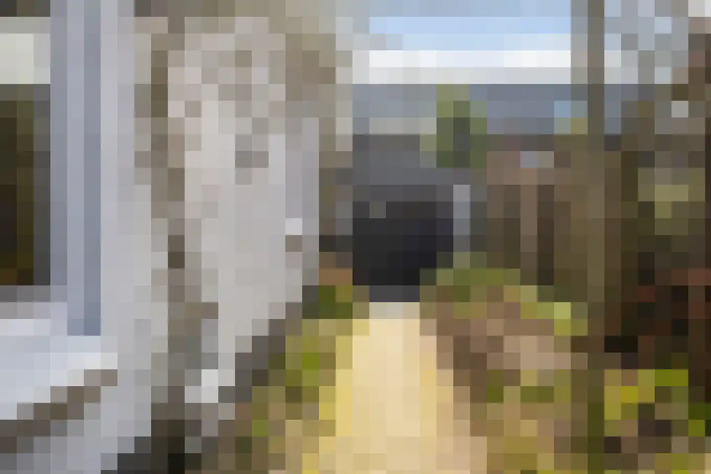 Tolhuislaan 5 Ede thumbnail 48