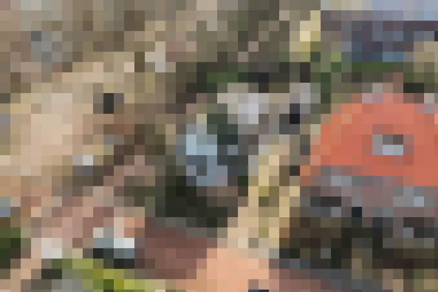 Tolhuislaan 5 Ede thumbnail 49