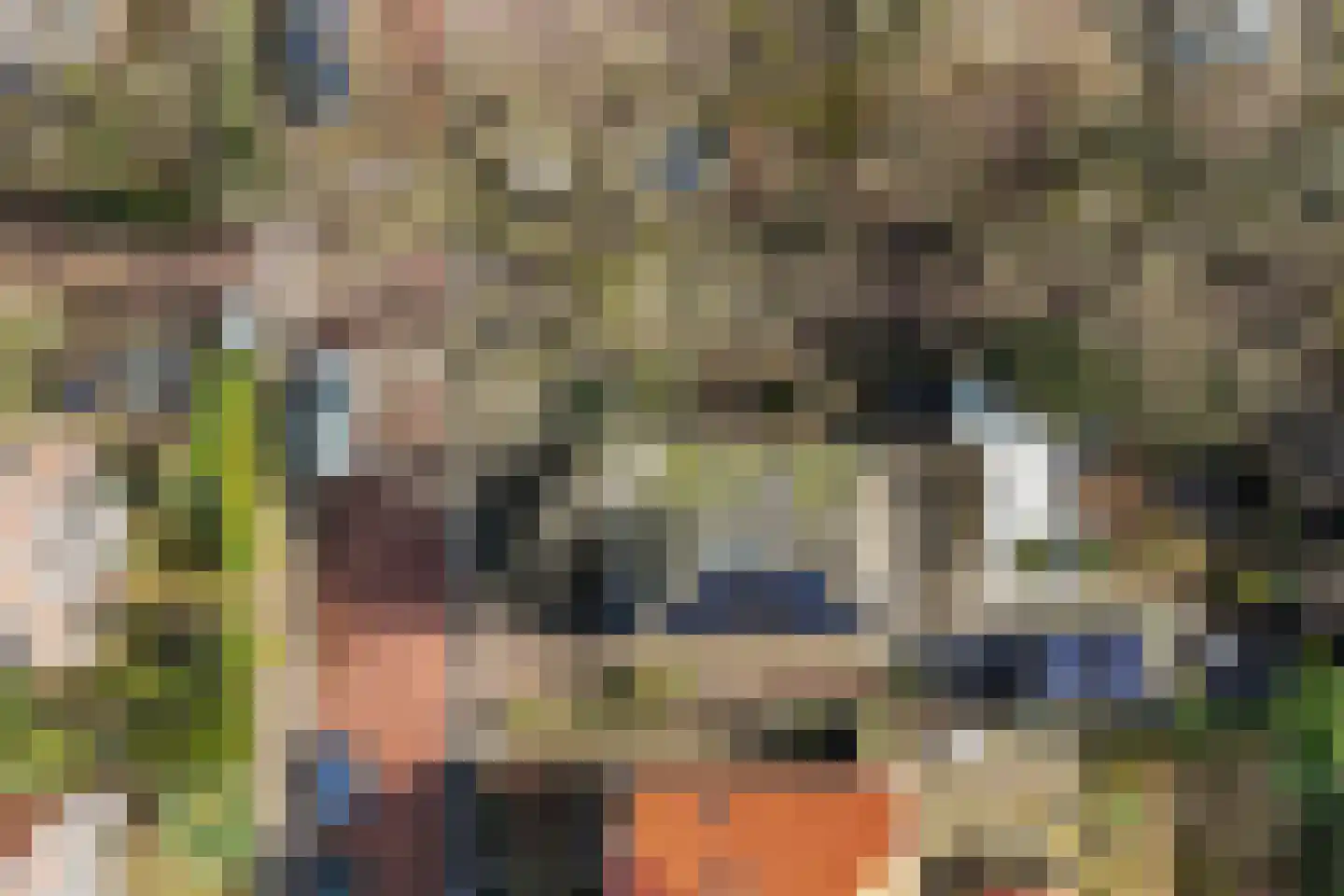 Tolhuislaan 5 Ede thumbnail 50