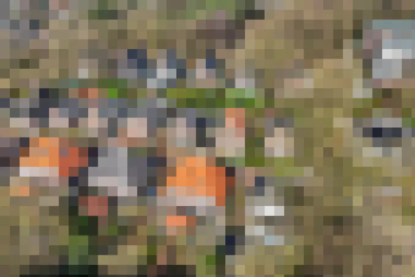 Tolhuislaan 5 Ede thumbnail 51
