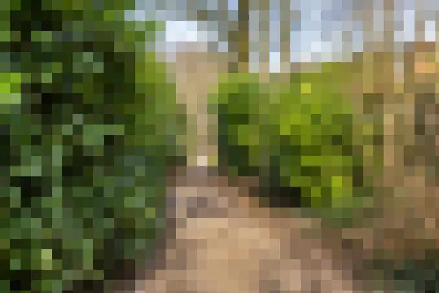 Tolhuislaan 5 Ede thumbnail 53