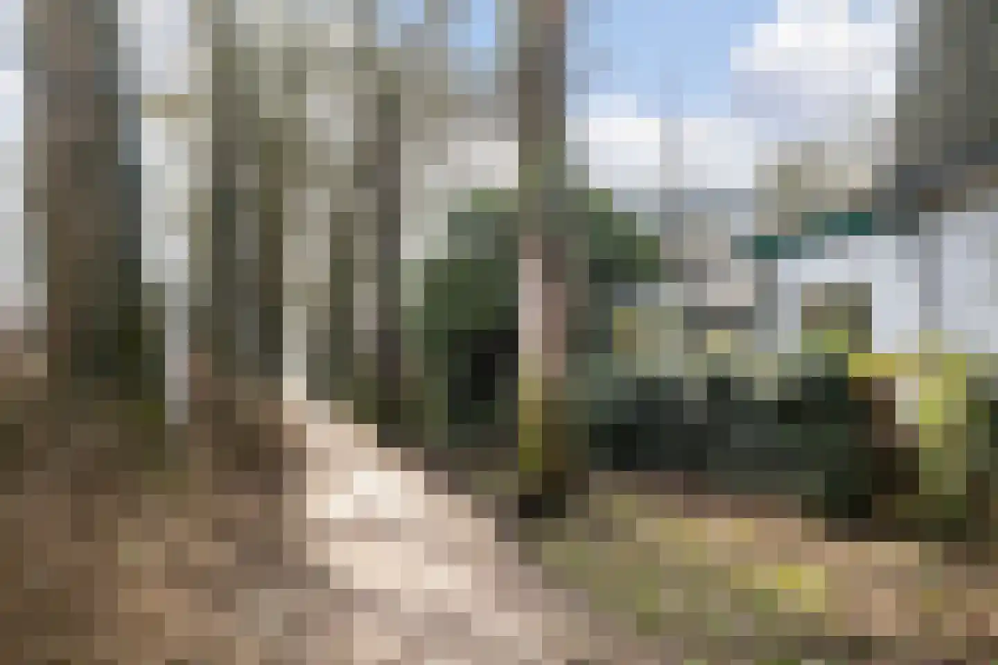 Tolhuislaan 5 Ede thumbnail 54