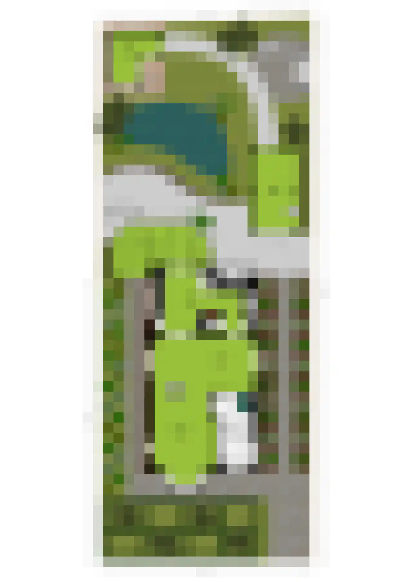 Tolhuislaan 5 Ede thumbnail 58