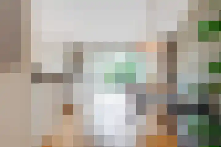 Tolhuislaan 55 Den Dolder thumbnail 11