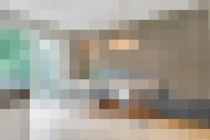 Tolhuislaan 55 Den Dolder thumbnail 13