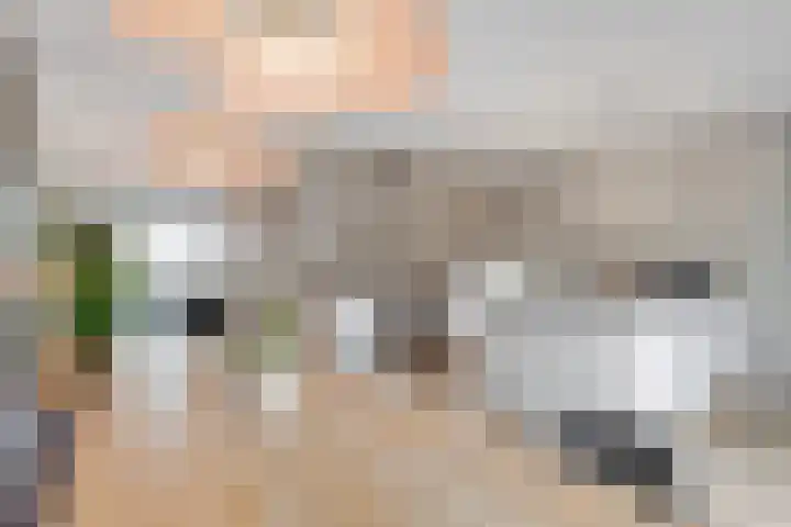 Tolhuislaan 55 Den Dolder thumbnail 14