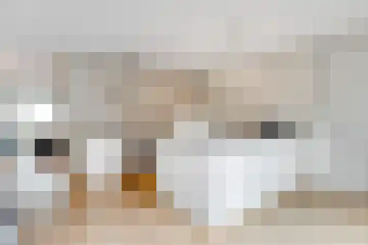 Tolhuislaan 55 Den Dolder thumbnail 15